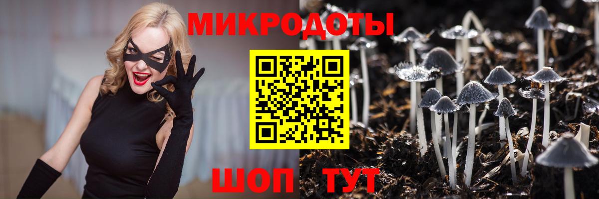 Кизляр  Псилоцибиновые грибы прущие грибы  Вход с VPN 